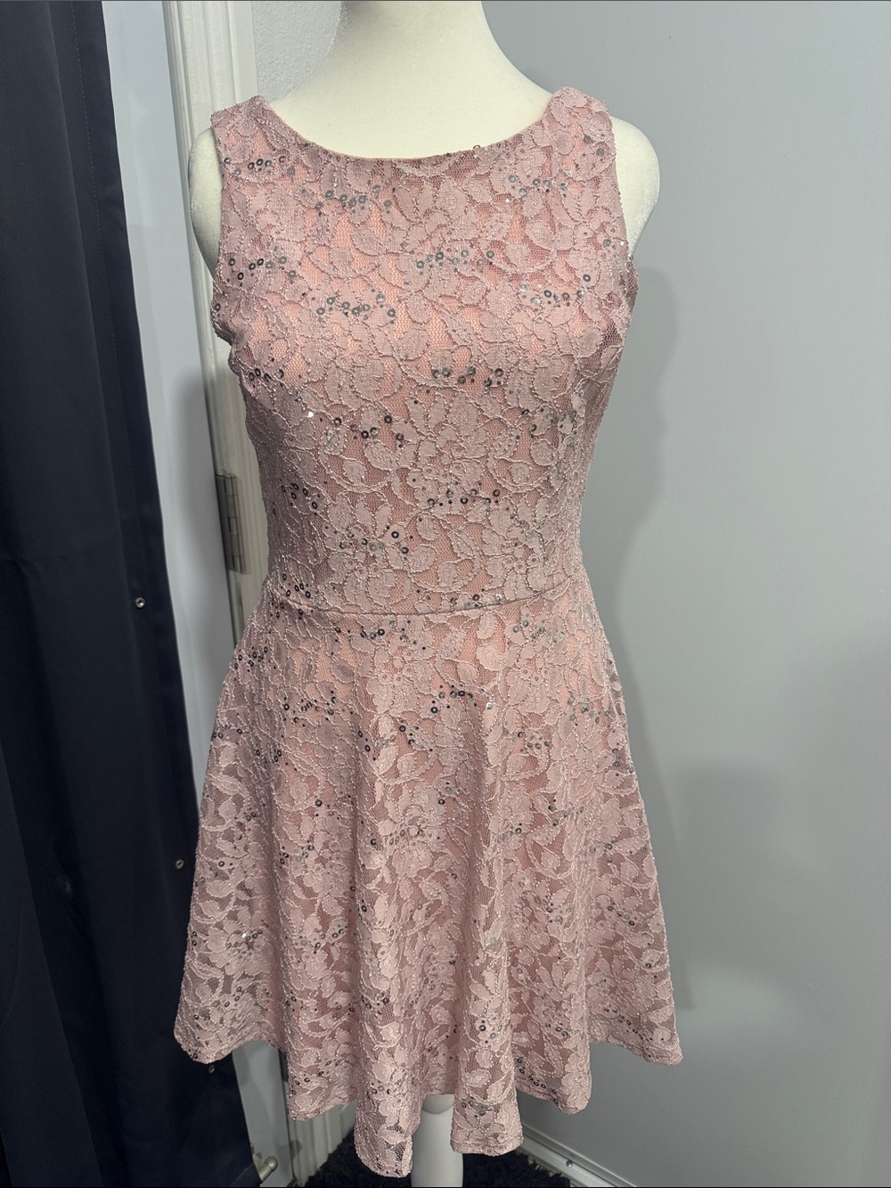 Sleeveless Lace Fit & Flare Dress in Blush Pink and Silver Sequins